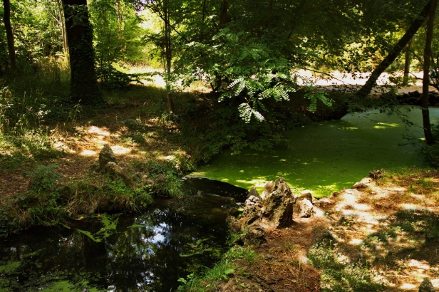 PARIS Bois de Vincennes 31  Beaute et Paysages de notre Belle France - Guy Peinturier